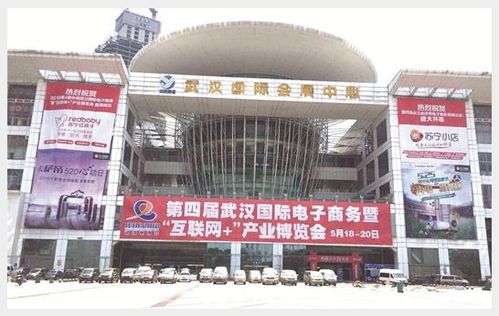 大余縣商務執法大隊率企業參加第四屆武漢國際電子商務暨互聯網 產業博覽會