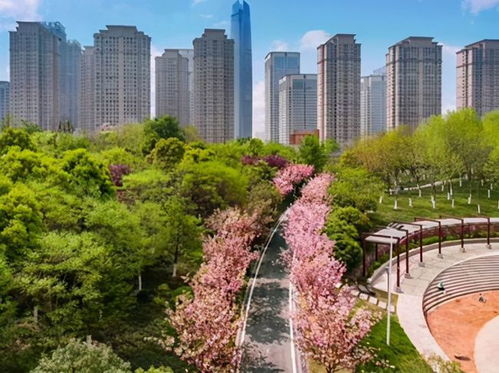 產城人文 深度融合 泛海武漢cbd打造未來金融產業城區樣本