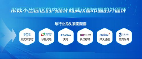 光電子信息產(chǎn)業(yè)強(qiáng)勢(shì)崛起,黃石為什么能