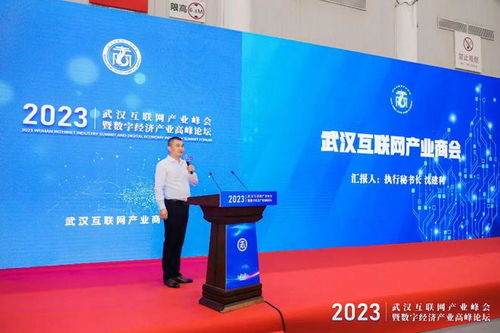 武漢互聯(lián)網(wǎng)產(chǎn)業(yè)峰會暨數(shù)字經(jīng)濟產(chǎn)業(yè)高峰論壇圓滿舉行，引領企業(yè)網(wǎng)站創(chuàng)新與變革