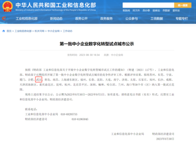 武漢市人民政府門戶網(wǎng)站與武漢企業(yè)網(wǎng)站 協(xié)同發(fā)展，共創(chuàng)城市新未來(lái)